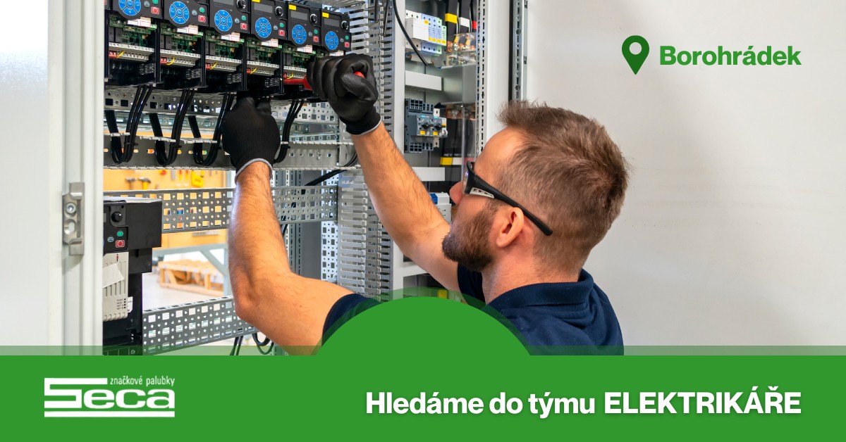 Elektrikar